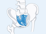IKR-Becken-Inkontinenz.jpg